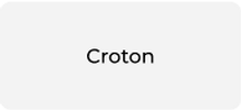 Croton